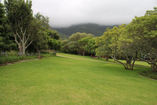 kirstenbosch